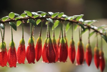 广州海珠区1私人快速借钱网，轻松解决资金难题