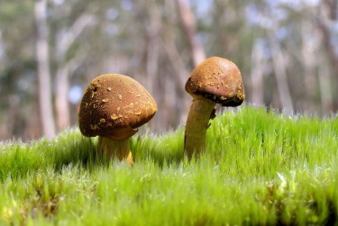 广州海珠区1私人老板放款：轻松融资的秘密通道